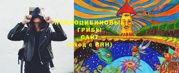 соль ск Лиски
