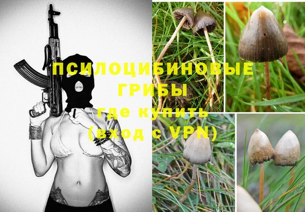 соль ск Лиски