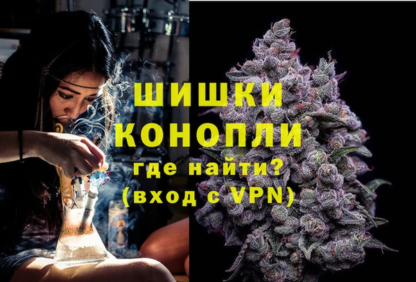 соль ск Лиски
