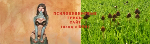 трава Липки