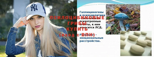 соль ск Лиски