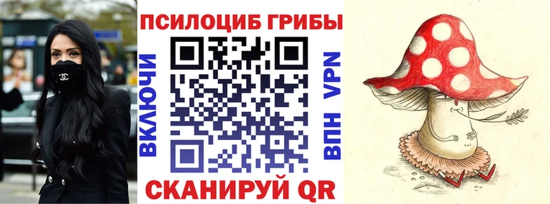 Купить закладки  Камызяк  Псилоцибиновые грибы GOLDEN TEACHER 